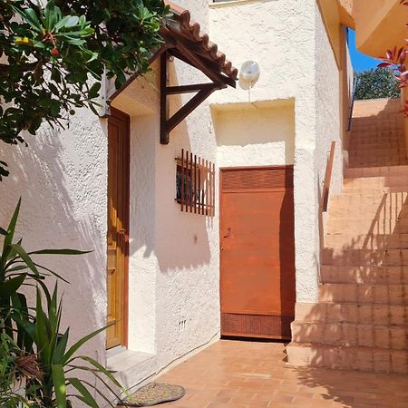 Bel Appartement Renove, Avec Terrasse Et Piscine La Croix-Valmer Exteriér fotografie