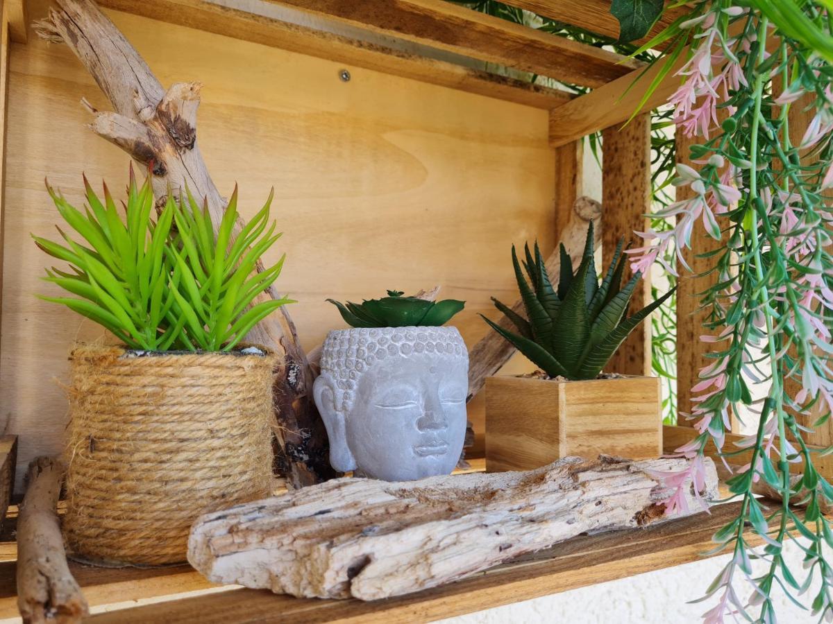 Bel Appartement Renove, Avec Terrasse Et Piscine La Croix-Valmer Exteriér fotografie