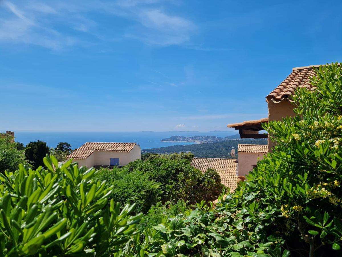Bel Appartement Renove, Avec Terrasse Et Piscine La Croix-Valmer Exteriér fotografie