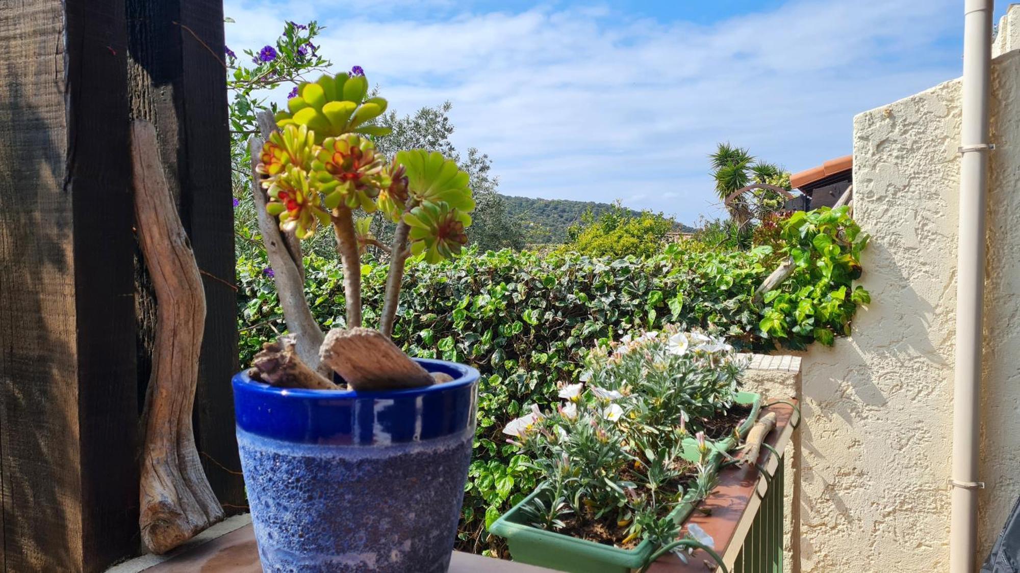 Bel Appartement Renove, Avec Terrasse Et Piscine La Croix-Valmer Exteriér fotografie